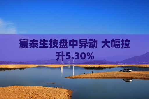 寰泰生技盘中异动 大幅拉升5.30%