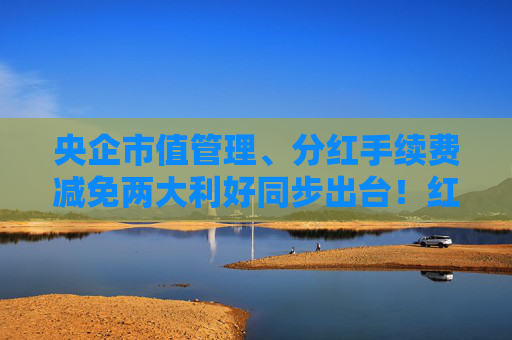 央企市值管理、分红手续费减免两大利好同步出台！红利低波ETF（512890）放量上涨