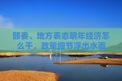 部委、地方表态明年经济怎么干，政策细节浮出水面
