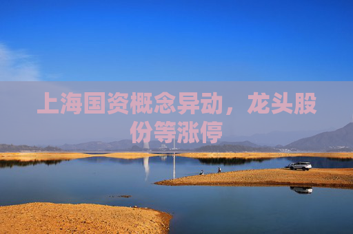 上海国资概念异动，龙头股份等涨停