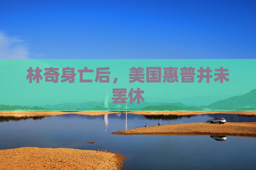 林奇身亡后，美国惠普并未罢休