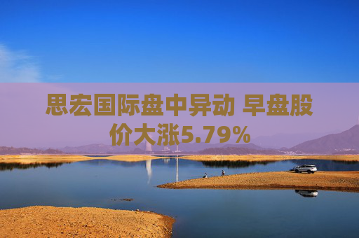 思宏国际盘中异动 早盘股价大涨5.79%