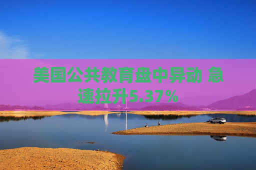 美国公共教育盘中异动 急速拉升5.37%