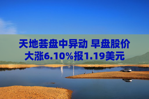 天地荟盘中异动 早盘股价大涨6.10%报1.19美元