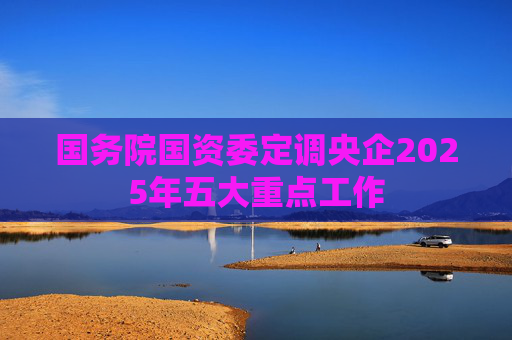 国务院国资委定调央企2025年五大重点工作