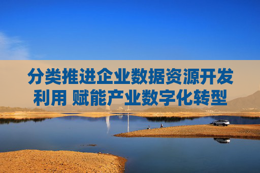 分类推进企业数据资源开发利用 赋能产业数字化转型