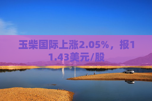 玉柴国际上涨2.05%，报11.43美元/股