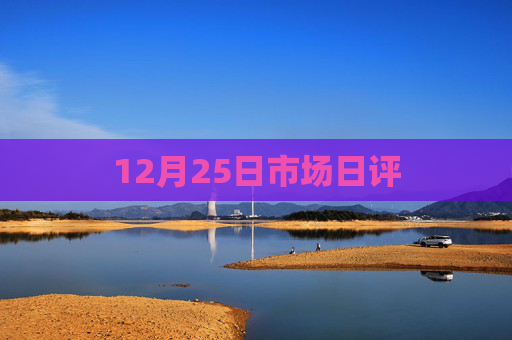 12月25日市场日评