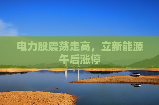 电力股震荡走高，立新能源午后涨停