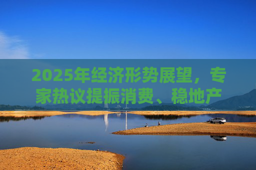 2025年经济形势展望，专家热议提振消费、稳地产