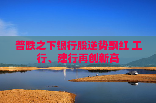 普跌之下银行股逆势飘红 工行、建行再创新高
