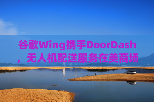 谷歌Wing携手DoorDash，无人机配送服务在美商场启航