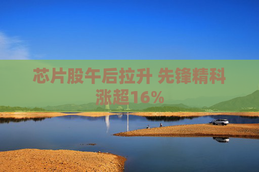 芯片股午后拉升 先锋精科涨超16%