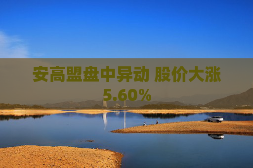 安高盟盘中异动 股价大涨5.60%