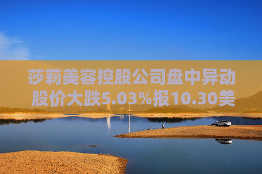 莎莉美容控股公司盘中异动 股价大跌5.03%报10.30美元