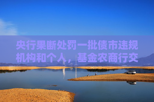 央行果断处罚一批债市违规机构和个人，基金农商行交易情绪降温，市场预计明年债牛仍可期