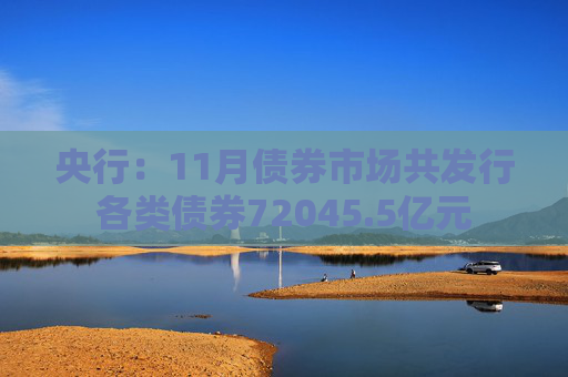 央行：11月债券市场共发行各类债券72045.5亿元
