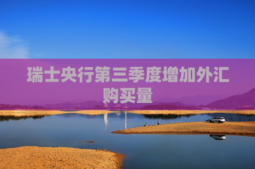 瑞士央行第三季度增加外汇购买量
