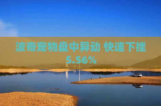 波奇宠物盘中异动 快速下挫5.56%