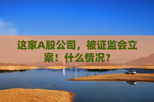 这家A股公司，被证监会立案！什么情况？