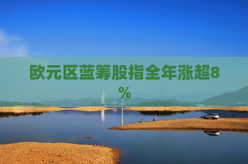 欧元区蓝筹股指全年涨超8%