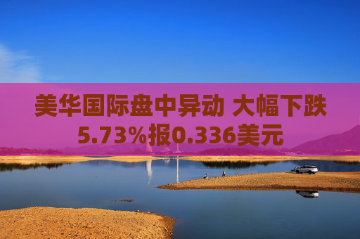 美华国际盘中异动 大幅下跌5.73%报0.336美元