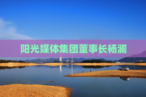 阳光媒体集团董事长杨澜