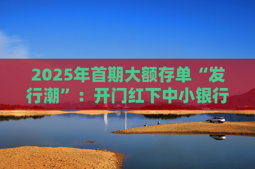2025年首期大额存单“发行潮”：开门红下中小银行密集发售 三年期利率仍可达2.95%