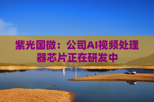 紫光国微：公司AI视频处理器芯片正在研发中