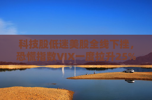 科技股低迷美股全线下挫，恐慌指数VIX一度拉升25%