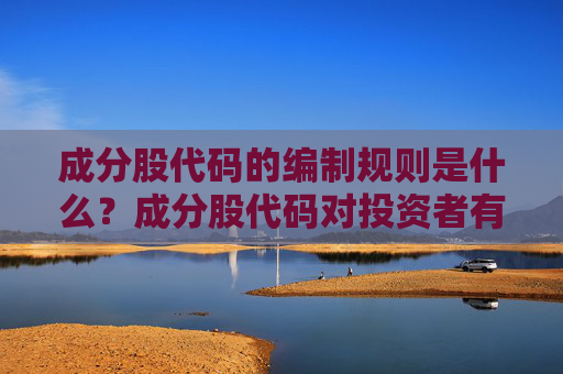成分股代码的编制规则是什么？成分股代码对投资者有何实际意义？