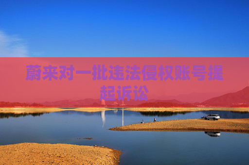 蔚来对一批违法侵权账号提起诉讼