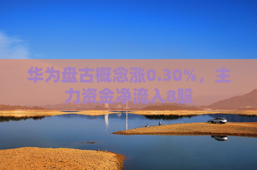 华为盘古概念涨0.30%，主力资金净流入8股