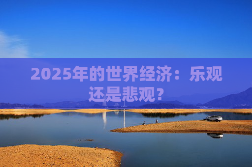 2025年的世界经济：乐观还是悲观？