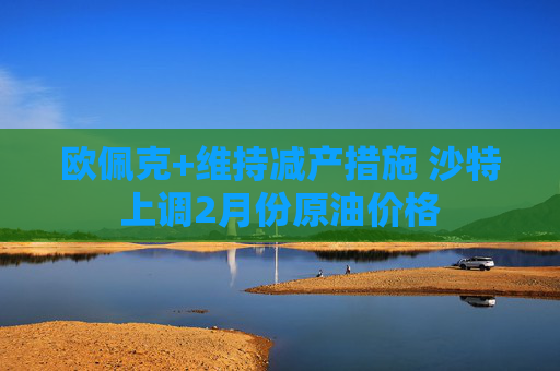欧佩克+维持减产措施 沙特上调2月份原油价格