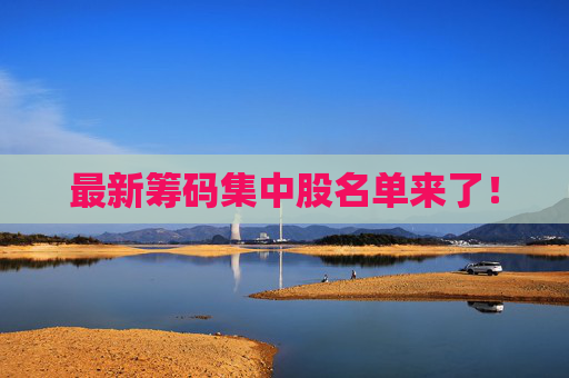 最新筹码集中股名单来了！