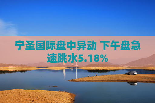 宁圣国际盘中异动 下午盘急速跳水5.18%
