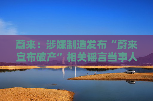 蔚来：涉嫌制造发布“蔚来宣布破产”相关谣言当事人被缉拿归案