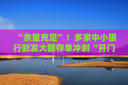 “余量充足”！多家中小银行新发大额存单冲刺“开门红” 三年期利率最高达2.95%