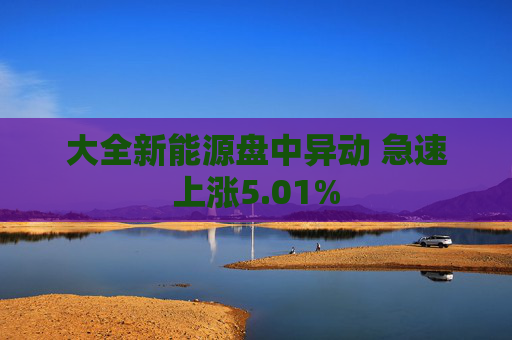 大全新能源盘中异动 急速上涨5.01%