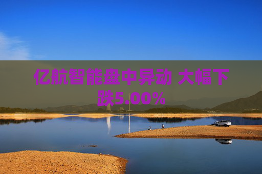亿航智能盘中异动 大幅下跌5.00%