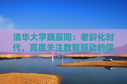 清华大学魏晨阳：老龄化时代，高度关注数智驱动的保险创新
