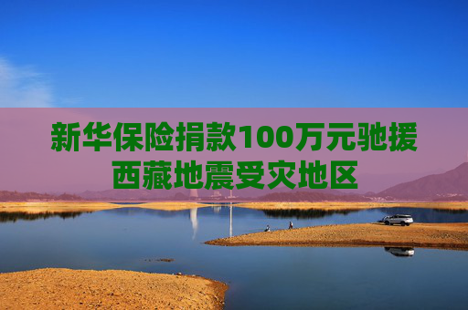 新华保险捐款100万元驰援西藏地震受灾地区