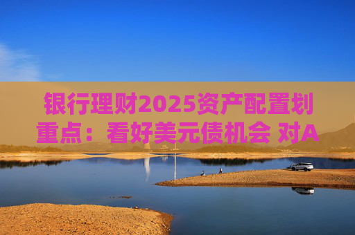 银行理财2025资产配置划重点：看好美元债机会 对A股市场前景保持乐观