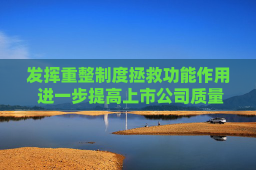 发挥重整制度拯救功能作用 进一步提高上市公司质量