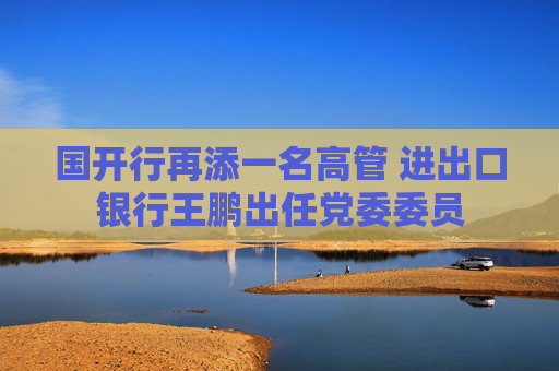 国开行再添一名高管 进出口银行王鹏出任党委委员