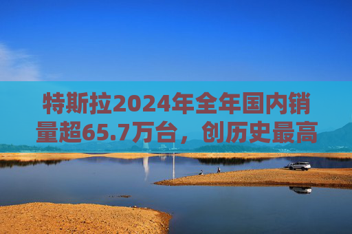 特斯拉2024年全年国内销量超65.7万台，创历史最高纪录