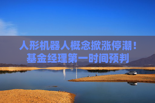 人形机器人概念掀涨停潮！基金经理第一时间预判