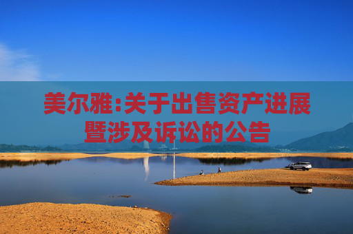美尔雅:关于出售资产进展暨涉及诉讼的公告