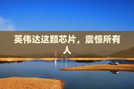 英伟达这颗芯片，震惊所有人